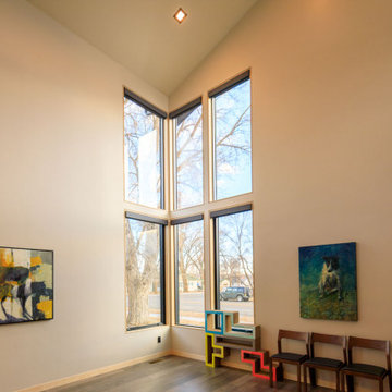 Modern Aspen ave. House