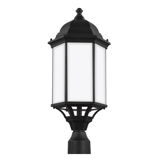 Progress Lighting Onion Lantern Collection 4-Light Textured Black