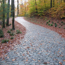 Landscape Ideas