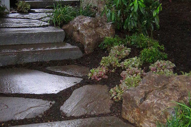 Patios, Walkways and Hardscapes