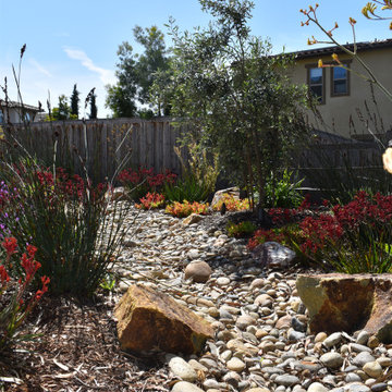 Mediterranean Dry Creek
