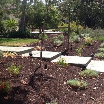 Front Yard Update