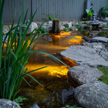 Urban Oasis