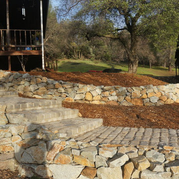 Entry landscape and oak tree restoration