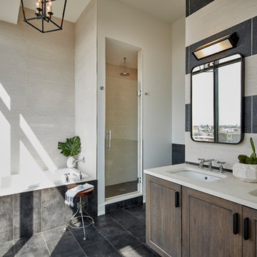 West Loop Penthouses
