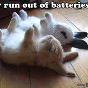 Michael Teer's photo
