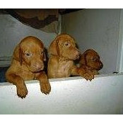 Fran Johnson's photo