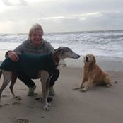 Doory Bastelmann's photo
