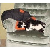 Mary Nolan's photo