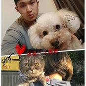Cindy Yang's photo