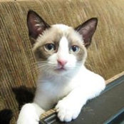 Donna Pope's photo