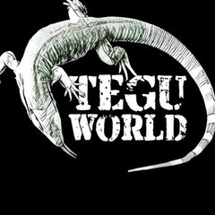 Teguworld.com