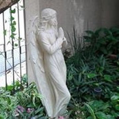 Nancy Gonzalez's photo