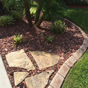 Bromeliads garden