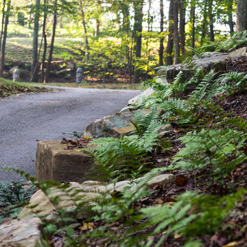 Wooded lot home