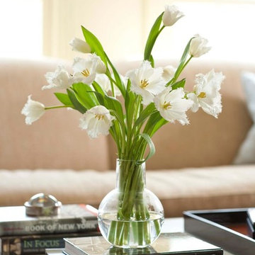 Starting Out: Transitional Elegance
