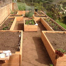Raised Beds