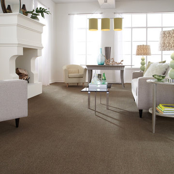 Tuftex Anso® Carpet