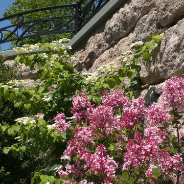 Viburnum and Lilac complementing the granite