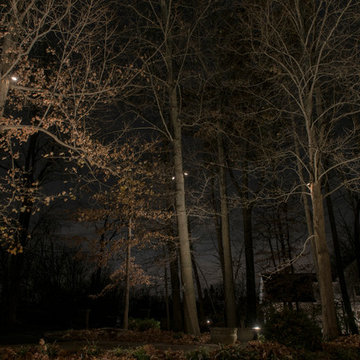 Wooded seclusion
