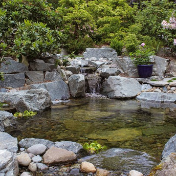 Side-yard Stream and Pond