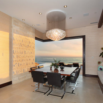 Dining room fireplace