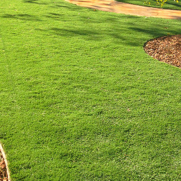 Backyard Landscaping--Sod Installation