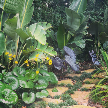 Ponte Vedra Beach : Tropical Backyard Oasis