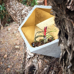 Concrete Terrarium - Products