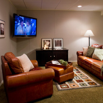 Basement Finishing Ideas