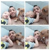 Raziq Rauf's photo