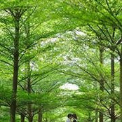 Rachel Han's photo
