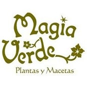 Magia Verde's photo