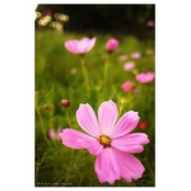 Debbie Chang's photo