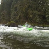 Simon O'Gorman's photo