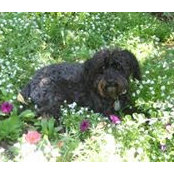 Angela Guesman's photo