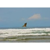 Jamie Kunz's photo