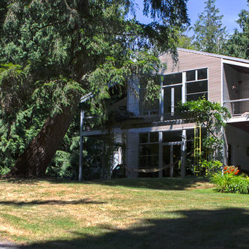 A Forest Oasis on Whidbey Island