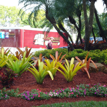 Landscape