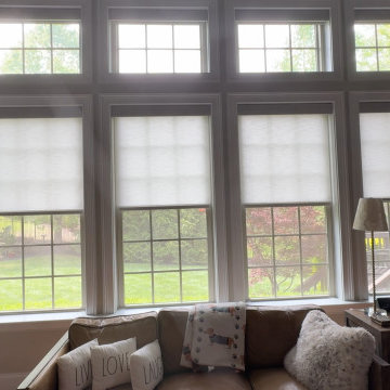 Motorized Roller Shades