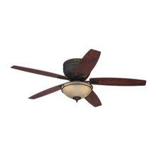 Ceiling Fan with Light