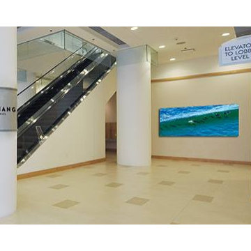 Aaron Chang Corporate & Commercial Art Installations