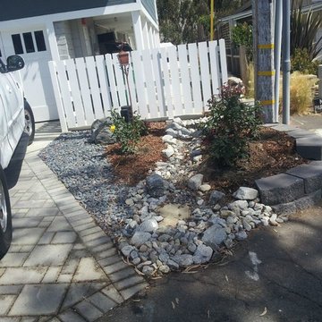 Water Conserving Landscape Project