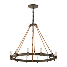 Den Lighting