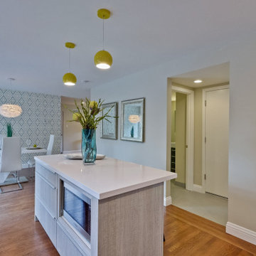 Santa Clara Remodel