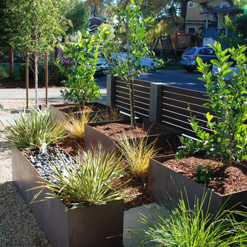 Contemporary Bungalow Front Yard