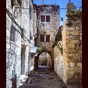 Murad Salameh's photo