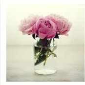 Maitha AL Ketbi's photo