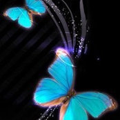 Foto von Angela Black