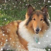 Foto von Clover Noel